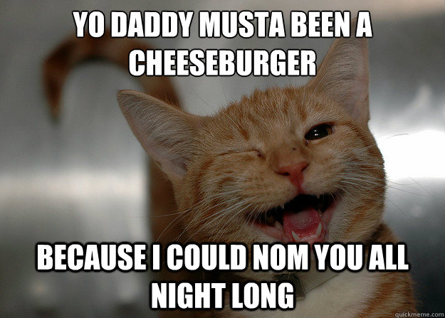 yo-daddy-musta-been-a-cheezburger-because-i-could-nom-you-all-night-long