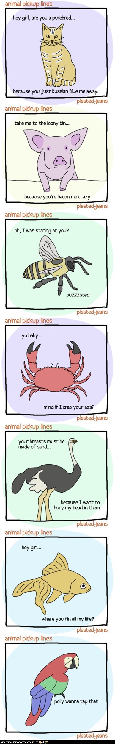 assorted-animal-pickup-lines